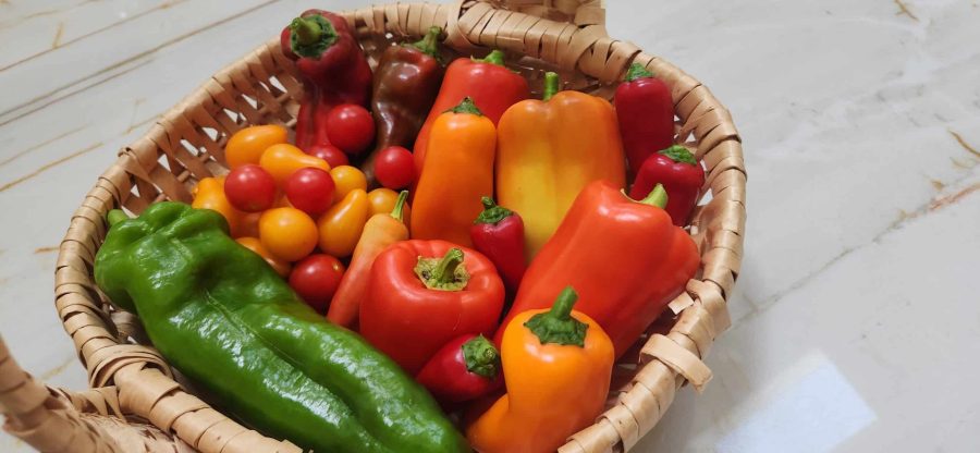 Garlic Chili Pepper Oil - Image 8